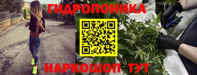 PSILOCYBIN Малоярославец