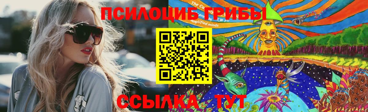 Псилоцибиновые грибы Psilocybine cubensis Ангарск