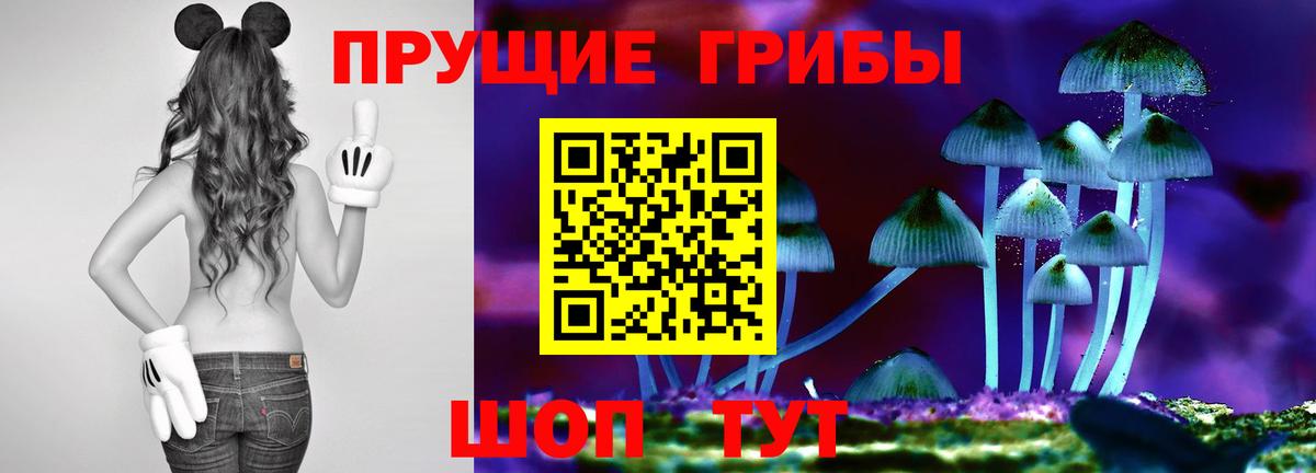 Ангарск  Галлюциногенные грибы прущие грибы  магазин продажи   Галлюциногенные грибы ЛСД  Вход с VPN 